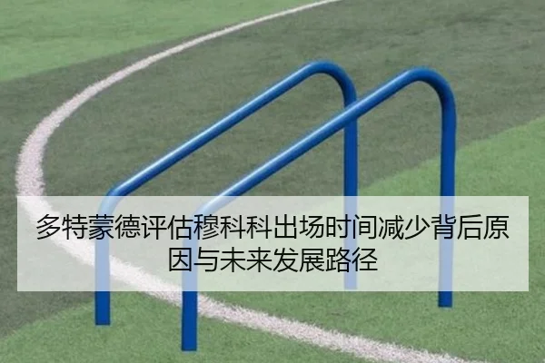多特蒙德评估穆科科出场时间减少背后原因与未来发展路径